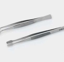 Life Sciences & Microscopy & Microbiology